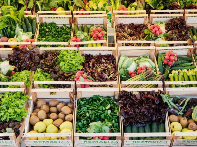 Venice: Discover the Farmers’ Market